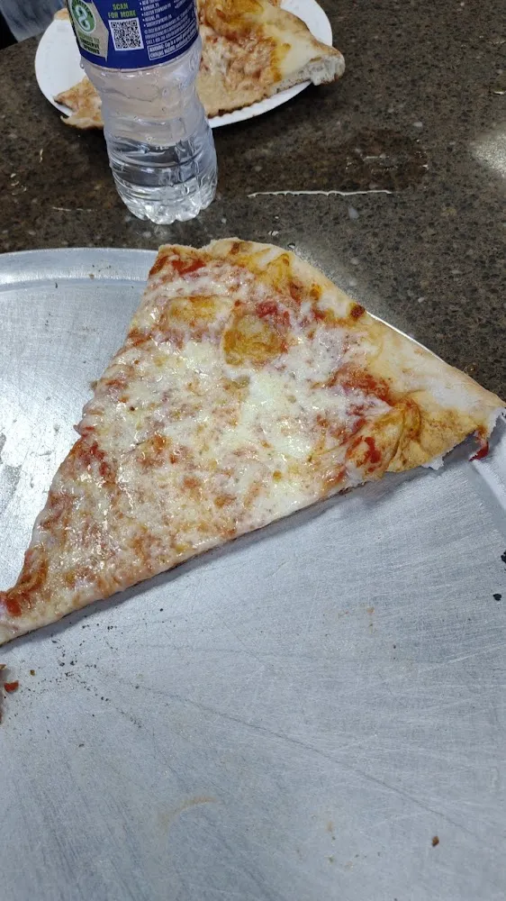 Plain Pizza